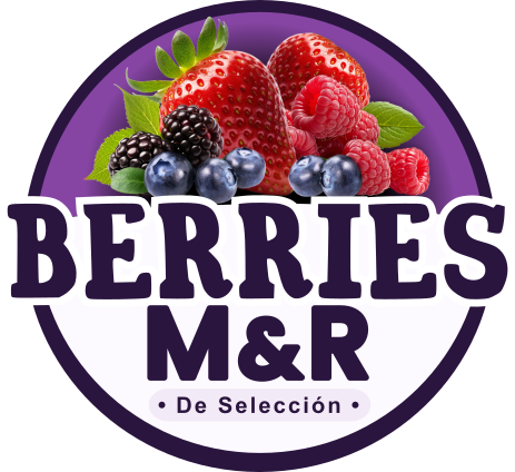 Berries M&R Logo